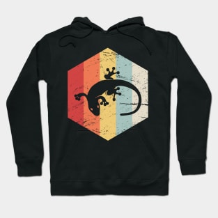 Retro Vintage Pet Gecko Icon Hoodie